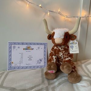 build a bear longhorn